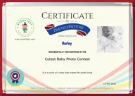 Locked Certificate Preview