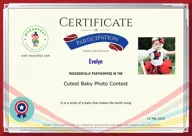Locked Certificate Preview