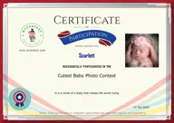 Locked Certificate Preview