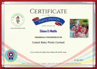 Locked Certificate Preview