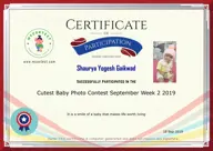 Locked Certificate Preview