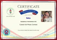 Locked Certificate Preview