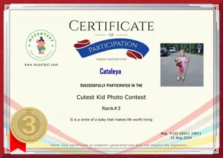 Certificate Preview