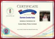 Locked Certificate Preview