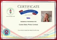 Locked Certificate Preview