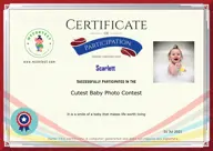 Locked Certificate Preview