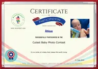 Locked Certificate Preview