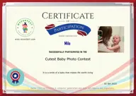 Locked Certificate Preview