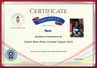Locked Certificate Preview