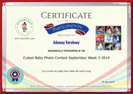 Locked Certificate Preview
