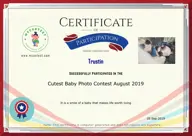 Locked Certificate Preview
