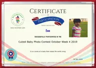 Locked Certificate Preview