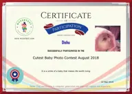 Locked Certificate Preview
