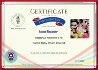 Locked Certificate Preview